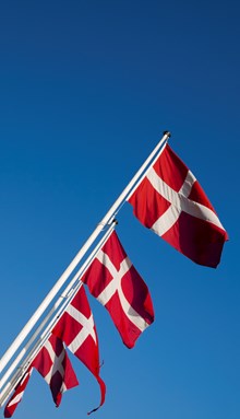 Flagstænger, 7 m, til udendørs stande<br/>