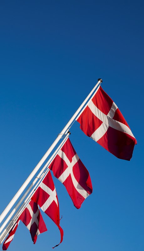 Flagstænger, 7 m, til udendørs stande<br/>
